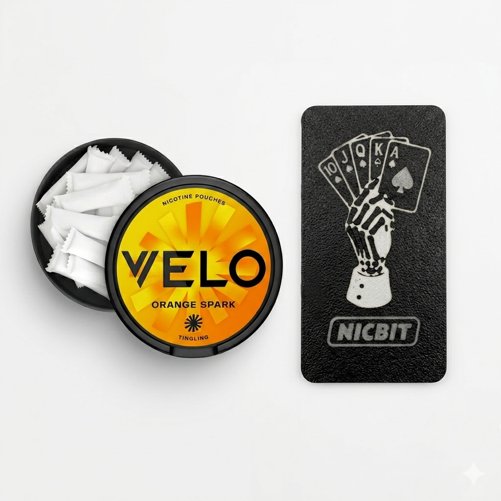 Nicbit Slim Wallet-Compatible Pouch Holder Hadi Collections